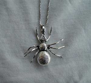 p-spider.jpg